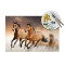 Set de table Cheval blanc en polyester 45.7x30.5 cm - miniature variant 3