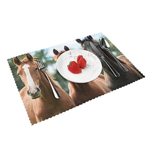 Set de table Cheval animales chevaux en polyester 4 pièces 30.5x45.7 cm