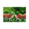 Set de table Escargot animal en polyester 6 pièces 45.7x30.5 cm - miniature