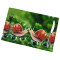 Set de table Escargot animal en polyester 6 pièces 45.7x30.5 cm - miniature variant 2