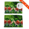 Set de table Escargot animal en polyester 6 pièces 45.7x30.5 cm - miniature variant 3