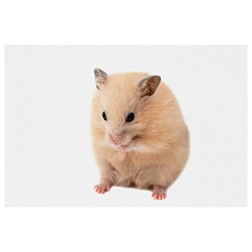 Set de table Hamster multicolore 30x45 cm