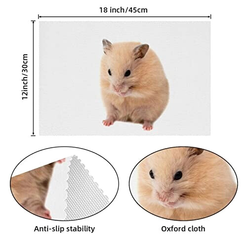 Set de table Hamster multicolore 30x45 cm variant 2 