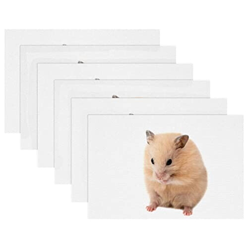 Set de table Hamster multicolore 30x45 cm variant 3 