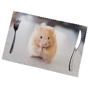 Set de table Hamster marron en polyester 6 pièces 45 cm