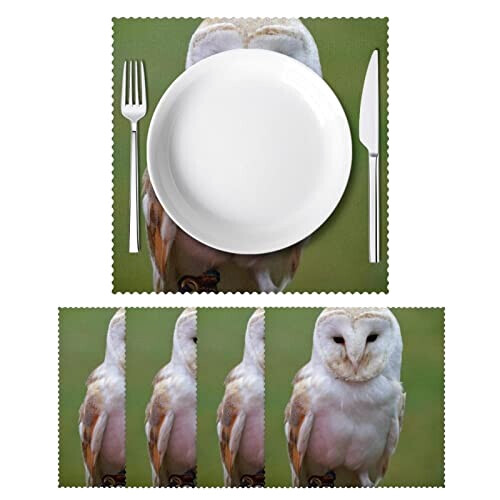 Set de table Hibou variant 0 