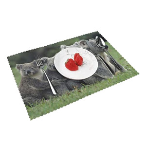 Set de table Koala joli ours en polyester 4 pièces 30.5x45.7 cm