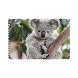 Set de table Koala blanc en polyester 6 pièces 45.7x30.5 cm