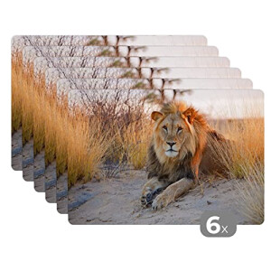 Set de table Lion multicolore en vinyle 6 pièces 45x30 cm