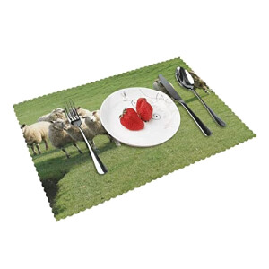 Set de table Mouton blanc en polyester 4 pièces 45.7x30.5 cm