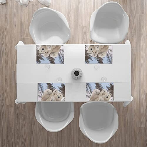 Set de table Ours blanc en polyester 4 pièces 45.7x30.5 cm variant 4 