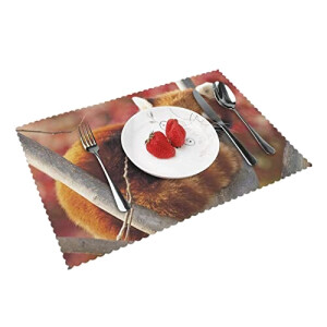 Set de table Panda rouge en polyester 4 pièces 45.7x30.5 cm
