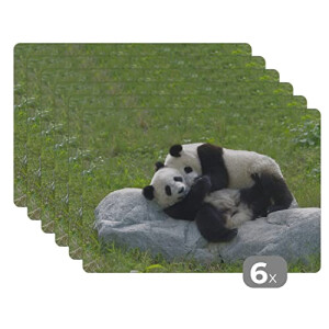 Set de table Panda multicolore en vinyle 6 pièces 45x30 cm