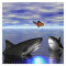 Set de table Requin - miniature