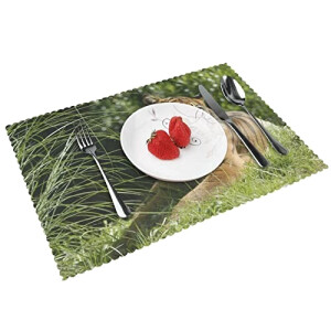 Set de table Tigre couché sur l'herbe en polyester 4 pièces 18x30.5 cm