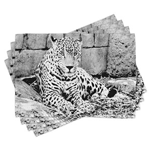 Set de table Tigre multicolore en polyester 30x45 cm