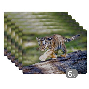 Set de table Tigre multicolore en vinyle 6 pièces 45x30 cm