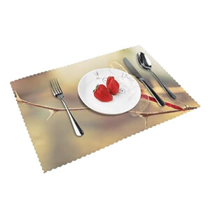 Set de table Libellule rouge en polyester 4 pièces 30.5x45.7 cm