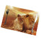 Set de table Lion africain et ne en polyester 6 pièces 45x30 cm - miniature